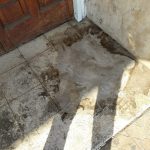 41677504 10214709318024774 4525638852617961472 o - Diario Resumen de la región