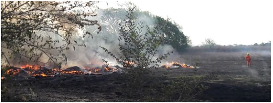 9d817ced 860c 44a4 916b 32deb8ce3cb3 - Diario Resumen de la región