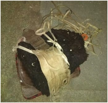 PHOTO 2018 09 25 09 36 10 - Diario Resumen de la región