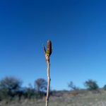 WhatsApp Image 2018 09 20 at 09.18.50 1 - Diario Resumen de la región