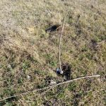 WhatsApp Image 2018 09 20 at 09.18.51 1 - Diario Resumen de la región