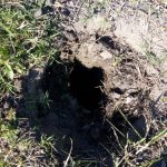 WhatsApp Image 2018 09 20 at 09.18.51 - Diario Resumen de la región