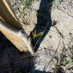 WhatsApp Image 2018 09 20 at 09.18.51 2 - Diario Resumen de la región