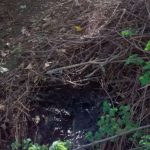 WhatsApp Image 2018 09 20 at 10.49.52 1 - Diario Resumen de la región