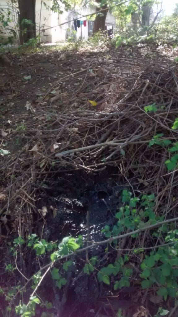 WhatsApp Image 2018 09 20 at 10.49.52 1 - Diario Resumen de la región