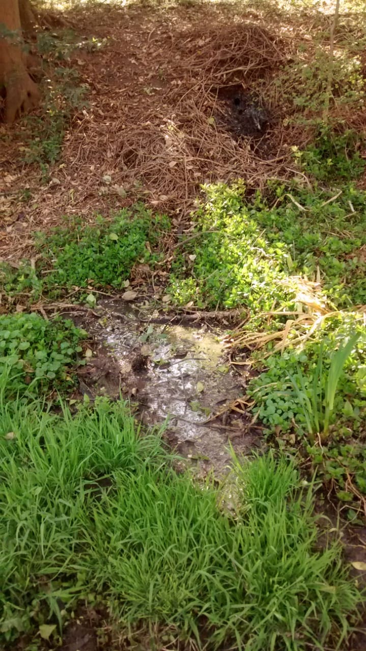 WhatsApp Image 2018 09 20 at 10.49.52 - Diario Resumen de la región