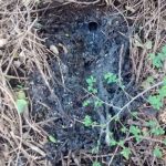 WhatsApp Image 2018 09 20 at 10.49.53 1 - Diario Resumen de la región