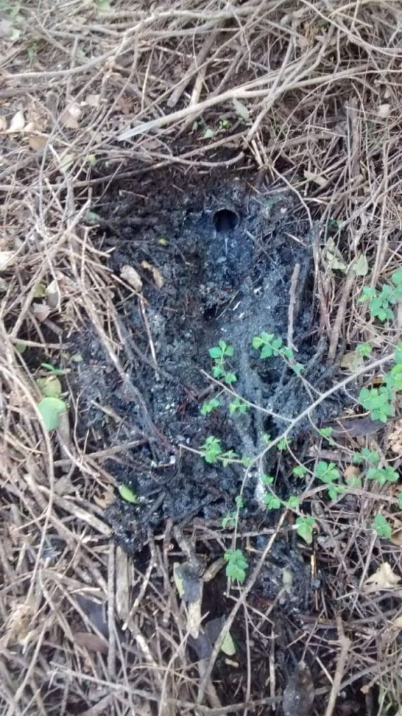 WhatsApp Image 2018 09 20 at 10.49.53 1 - Diario Resumen de la región