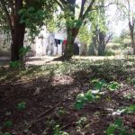 WhatsApp Image 2018 09 20 at 10.49.53 - Diario Resumen de la región