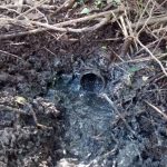 WhatsApp Image 2018 09 20 at 10.49.53 2 - Diario Resumen de la región