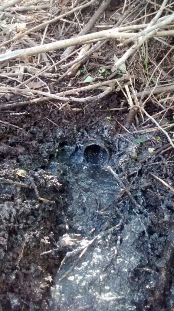 WhatsApp Image 2018 09 20 at 10.49.53 2 - Diario Resumen de la región