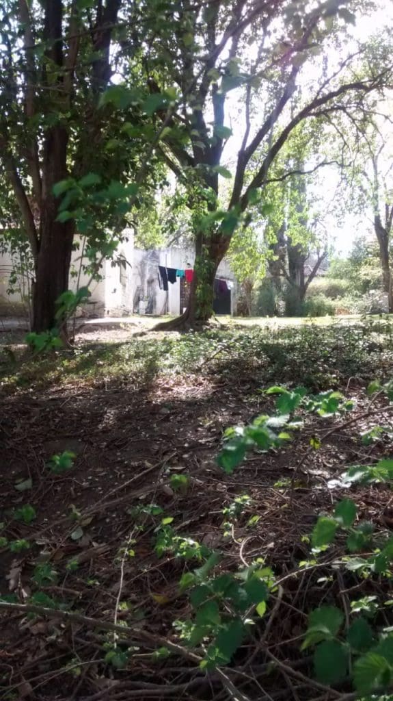 WhatsApp Image 2018 09 20 at 10.49.53 - Diario Resumen de la región