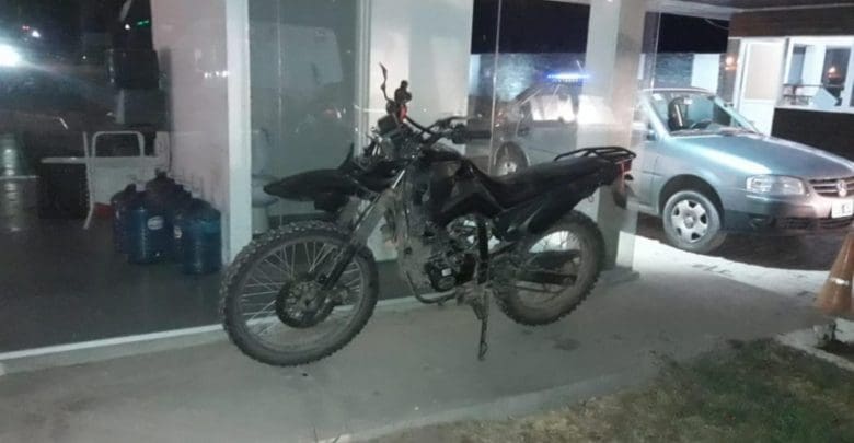 impactaron caballo - Diario Resumen de la región
