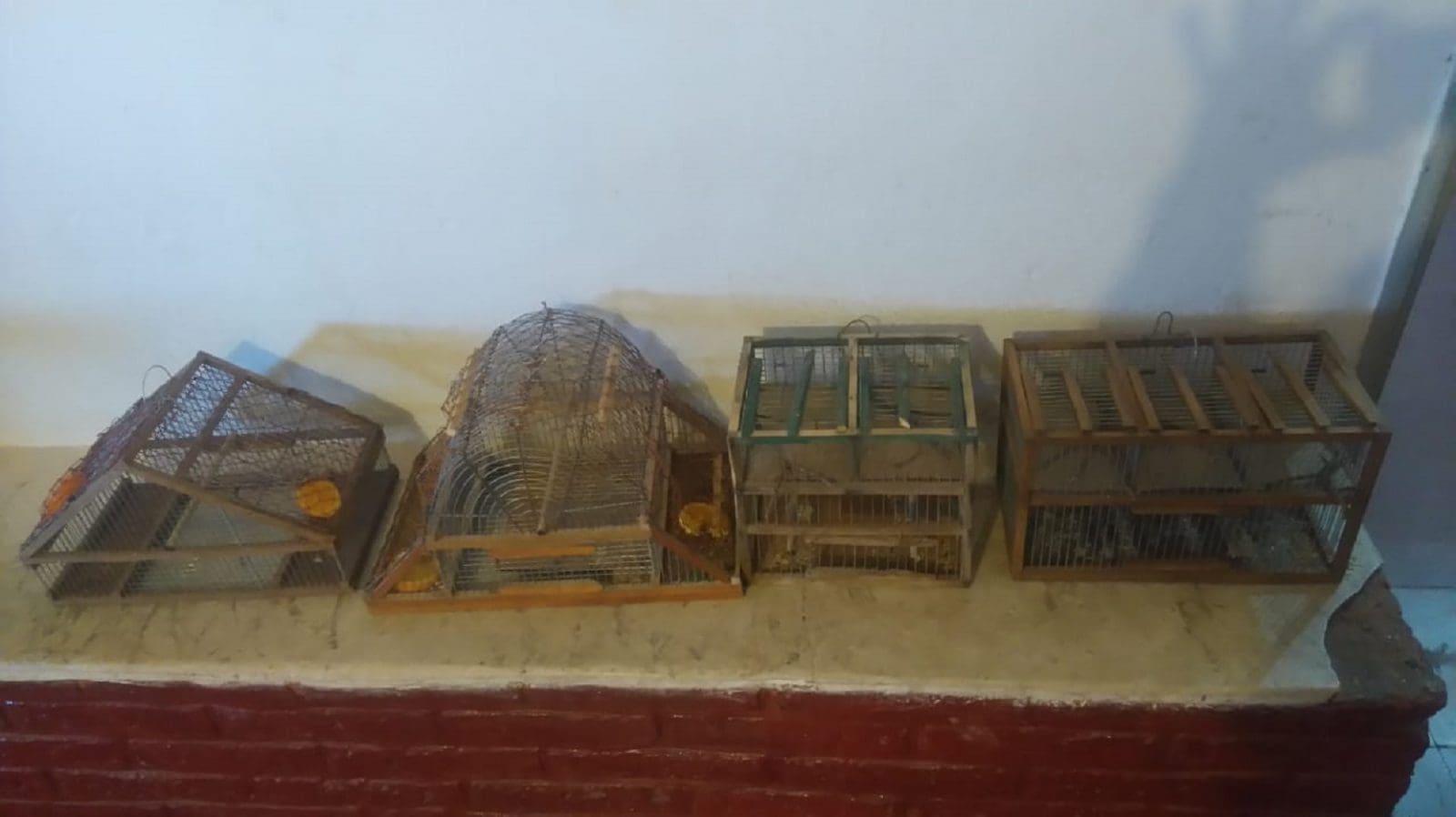 13357ed2 f80d 43c0 918f 2fb3f8d4d246 1 - Diario Resumen de la región