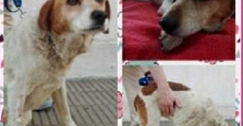 43177451 10216831904533659 7686925071000010752 n 1 - Diario Resumen de la región