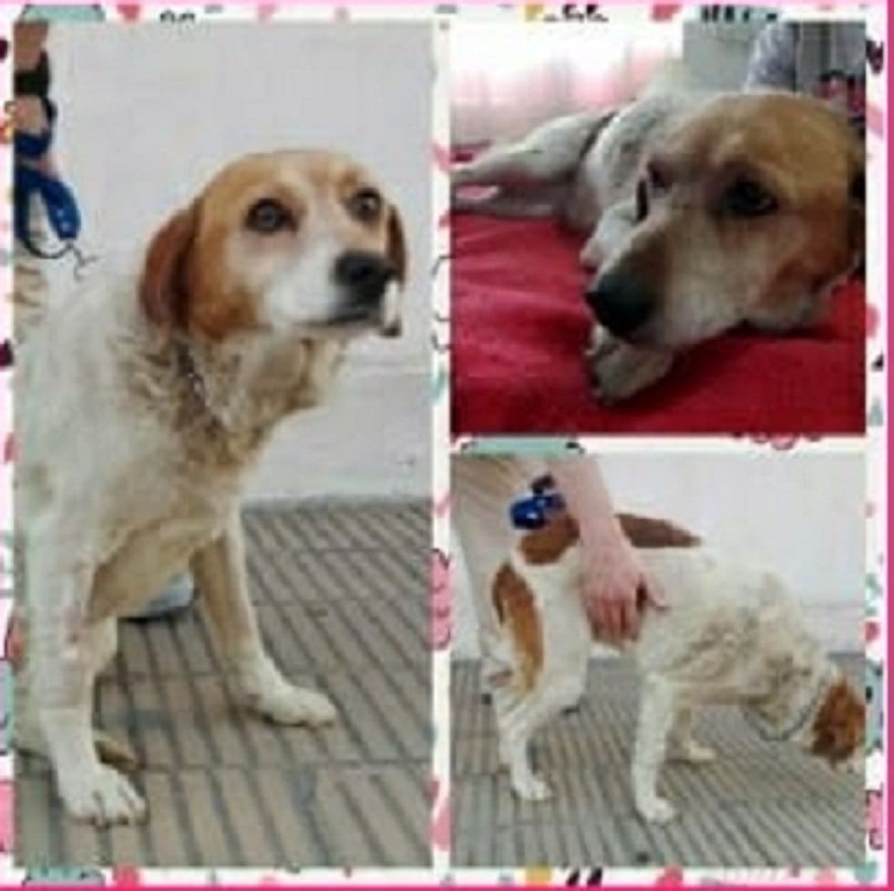 43177451 10216831904533659 7686925071000010752 n 1 - Diario Resumen de la región