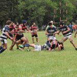 DSC 0122 - Diario Resumen de la región