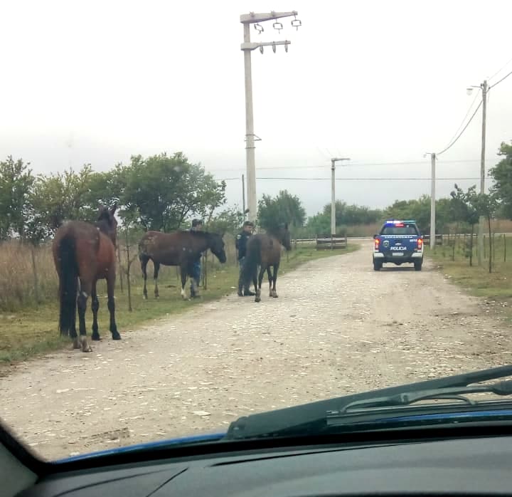 WhatsApp Image 2018 10 22 at 13.28.54 - Diario Resumen de la región