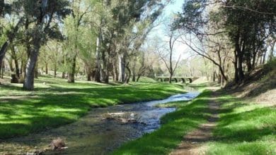 arroyo chicamtoltina mitchell - Diario Resumen de la región