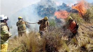 bomberos 42 1 - Diario Resumen de la región