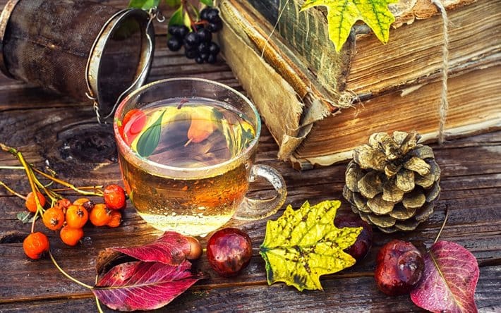 thumb2 autumn leaves cup of tea old books chestnuts - Diario Resumen de la región
