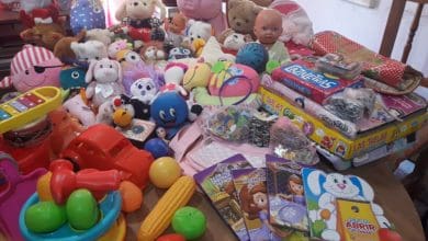 LUUCIA - Diario Resumen de la región