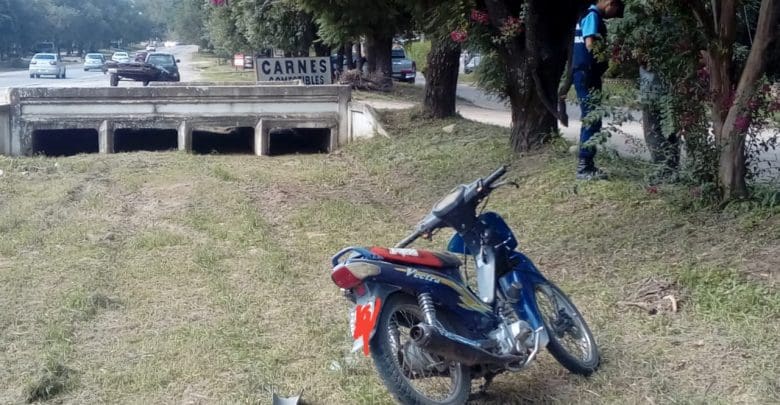 IMG 20190206 WA0053 - Diario Resumen de la región