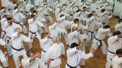 Karate 2 - Diario Resumen de la región