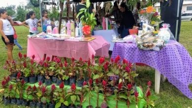 feria 1 - Diario Resumen de la región