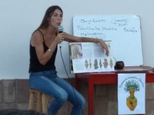 grilla 2 - Diario Resumen de la región