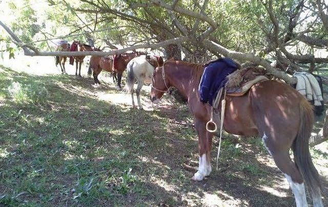 18 - Diario Resumen de la región