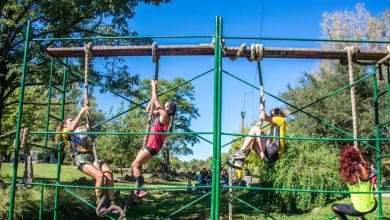 Olimpo Race - Diario Resumen de la región