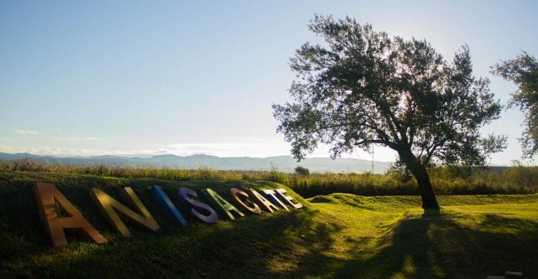 anisa - Diario Resumen de la región