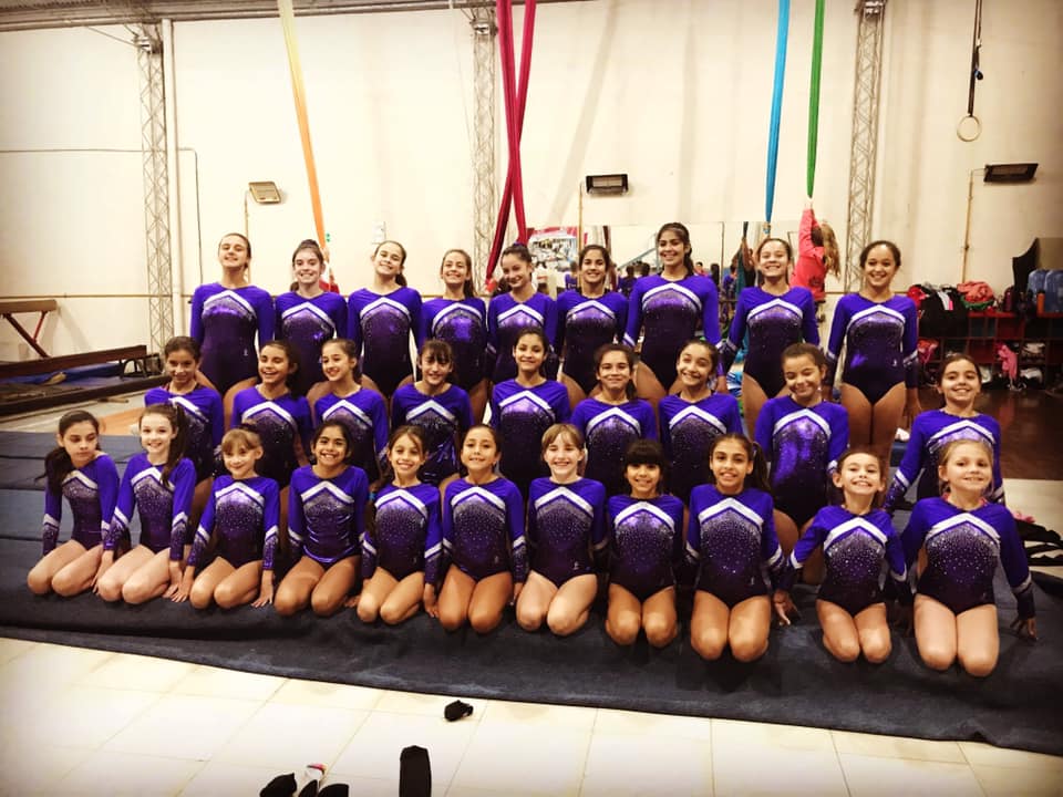 Gimnasia Artística - Diario Resumen de la región