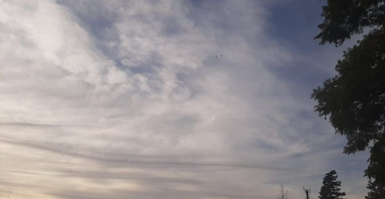 89e08915 dfd5 43e5 91d4 6bc2f3a52817 - Diario Resumen de la región