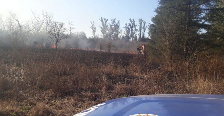 IMG 20190629 WA0061 - Diario Resumen de la región