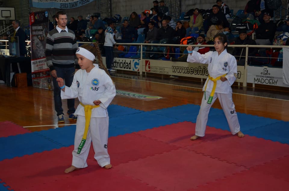 Taekwondo 1 - Diario Resumen de la región