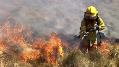 Incendios25 - Diario Resumen de la región