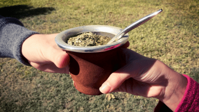 mateada - Diario Resumen de la región