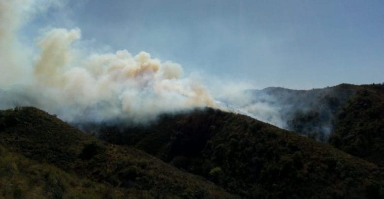 WhatsApp Image 2019 08 29 at 15.10.06 - Diario Resumen de la región