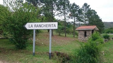 edfc7472 dsc 0462 baez 780x405 - Diario Resumen de la región