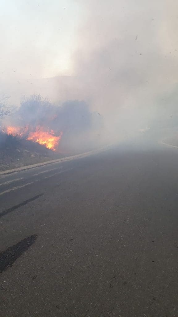 WhatsApp Image 2019 09 25 at 18.15.49 - Diario Resumen de la región