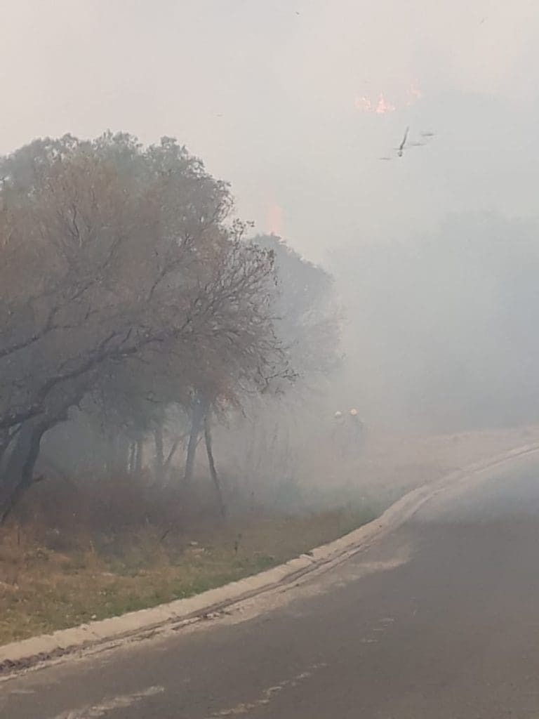 WhatsApp Image 2019 09 25 at 18.15.50 - Diario Resumen de la región