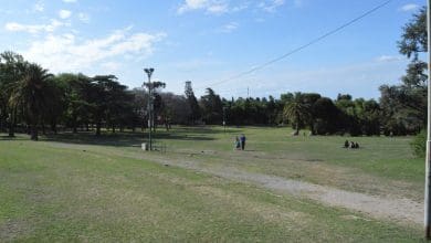 DSC 0405 - Diario Resumen de la región