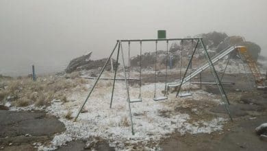 IMG 20191014 WA0009 1571064135 - Diario Resumen de la región