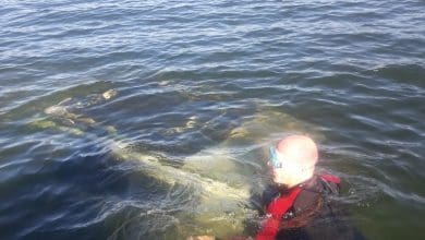 IMG 20191107 WA0049 - Diario Resumen de la región