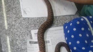 IMG 20191124 WA0032 - Diario Resumen de la región