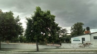 WhatsApp Image 2019 11 04 at 17.11.56 - Diario Resumen de la región