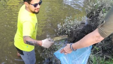 WhatsApp Image 2019 11 13 at 21.34.18 2 e1580397740770 - Diario Resumen de la región