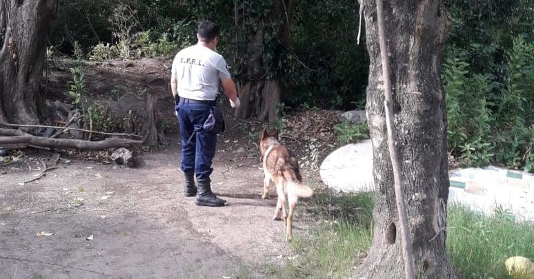 02c55a08 42c1 43f3 8084 e74fb373d1c3 - Diario Resumen de la región